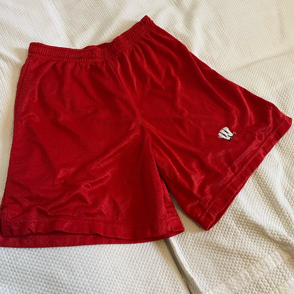 Vintage University of Wisconsin Mesh Embroidered Shorts Large